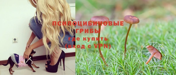соль курить ск Аркадак