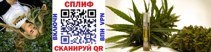 MEGA вход  Бакал  Каннабис Ganja  магазин продажи наркотиков 